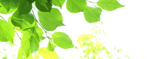 �v���Y�}���[�Q��18000�̔��T�C�g��