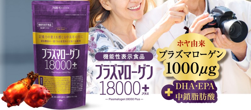 �v���Y�}���[�Q��18000�̔��T�C�g��